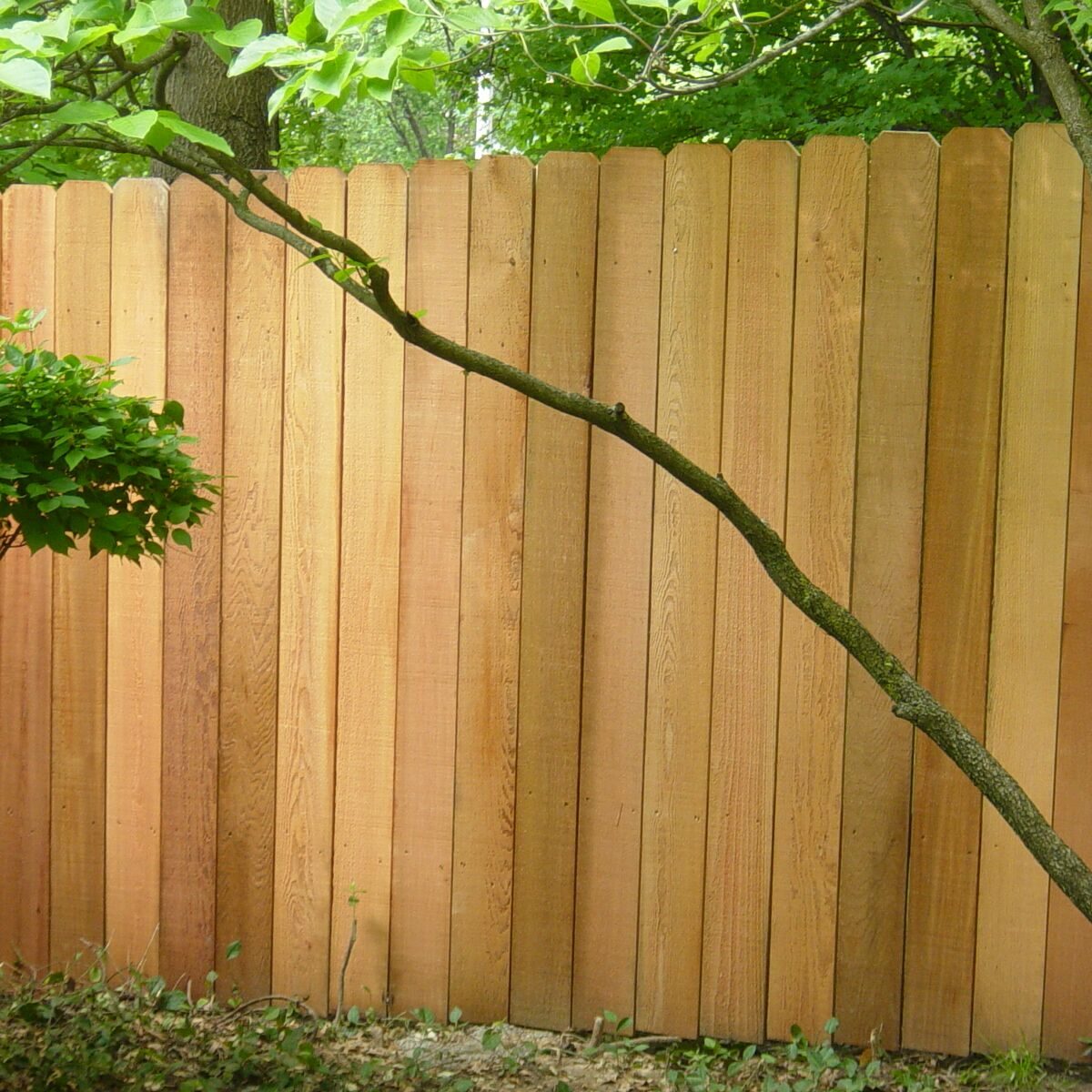Genuine Fences - Wooden Fence